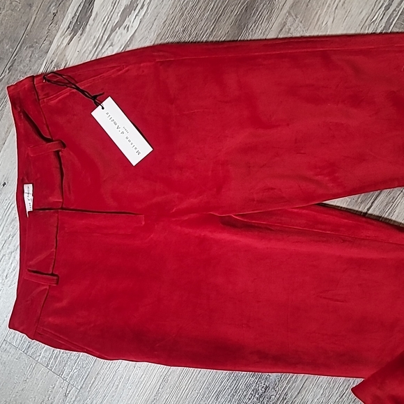 Maison d' Amelie Red Velvet Pants - Picture 3 of 10